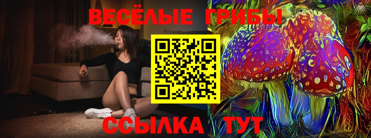 Псилоцибиновые грибы мицелий Кандалакша