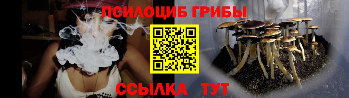 Кандалакша  Галлюциногенные грибы прущие грибы  Вход с VPN  Псилоцибиновые грибы ЛСД 